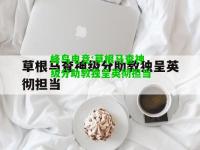 蜂鸟电竞:草根马查神级分助教独呈英彻担当