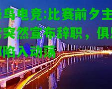 蜂鸟电竞:比赛前夕主席突然宣布辞职，俱乐部陷入动荡