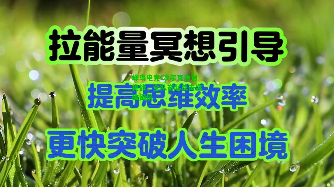 蜂鸟电竞:沙尔克再遇挑战，全队奋起反击突破困境