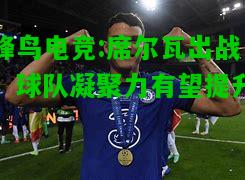 蜂鸟电竞:席尔瓦出战，球队凝聚力有望提升