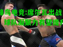 蜂鸟电竞:席尔瓦出战，球队凝聚力有望提升