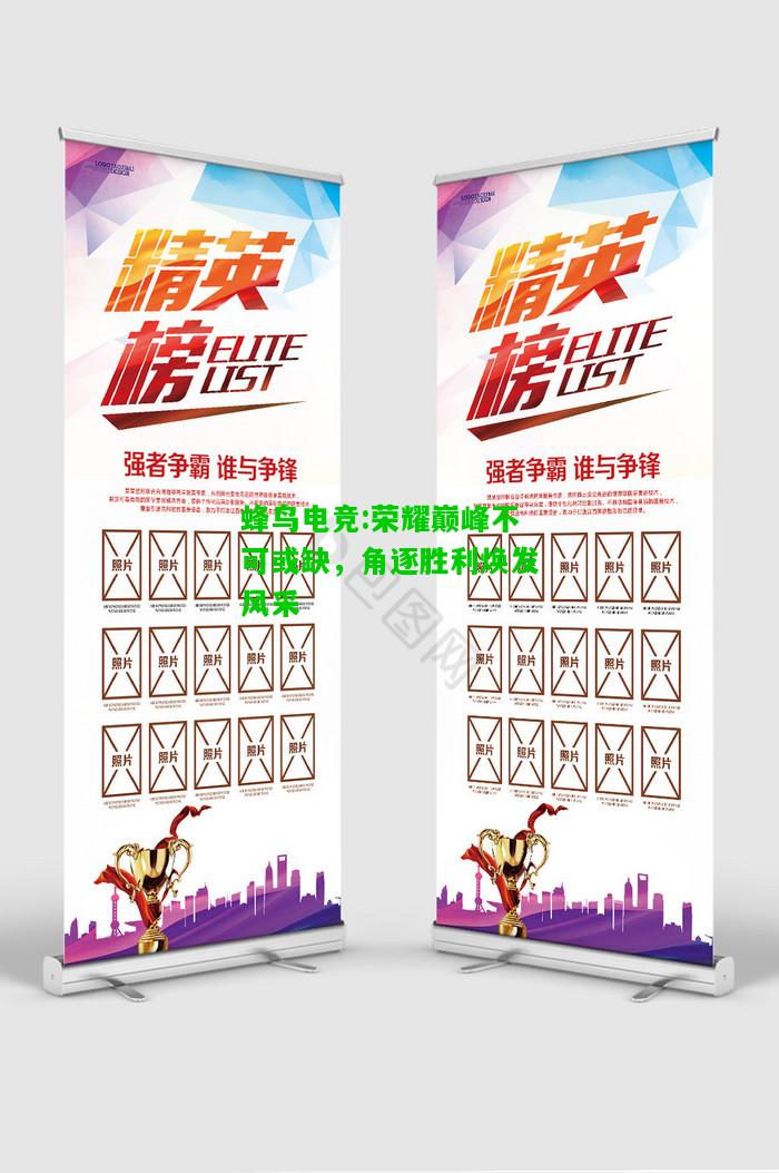 蜂鸟电竞:荣耀巅峰不可或缺，角逐胜利焕发风采
