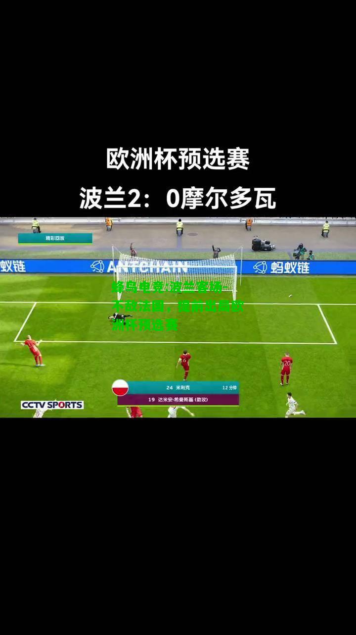蜂鸟电竞:波兰客场-不敌法国，提前出局欧洲杯预选赛