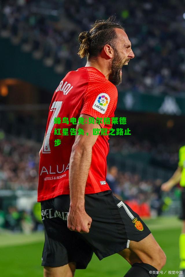 蜂鸟电竞:贝尔格莱德红星告负，欧冠之路止步