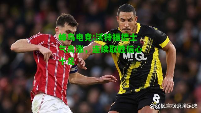蜂鸟电竞:沃特福德士气高涨，连续取胜信心十足
