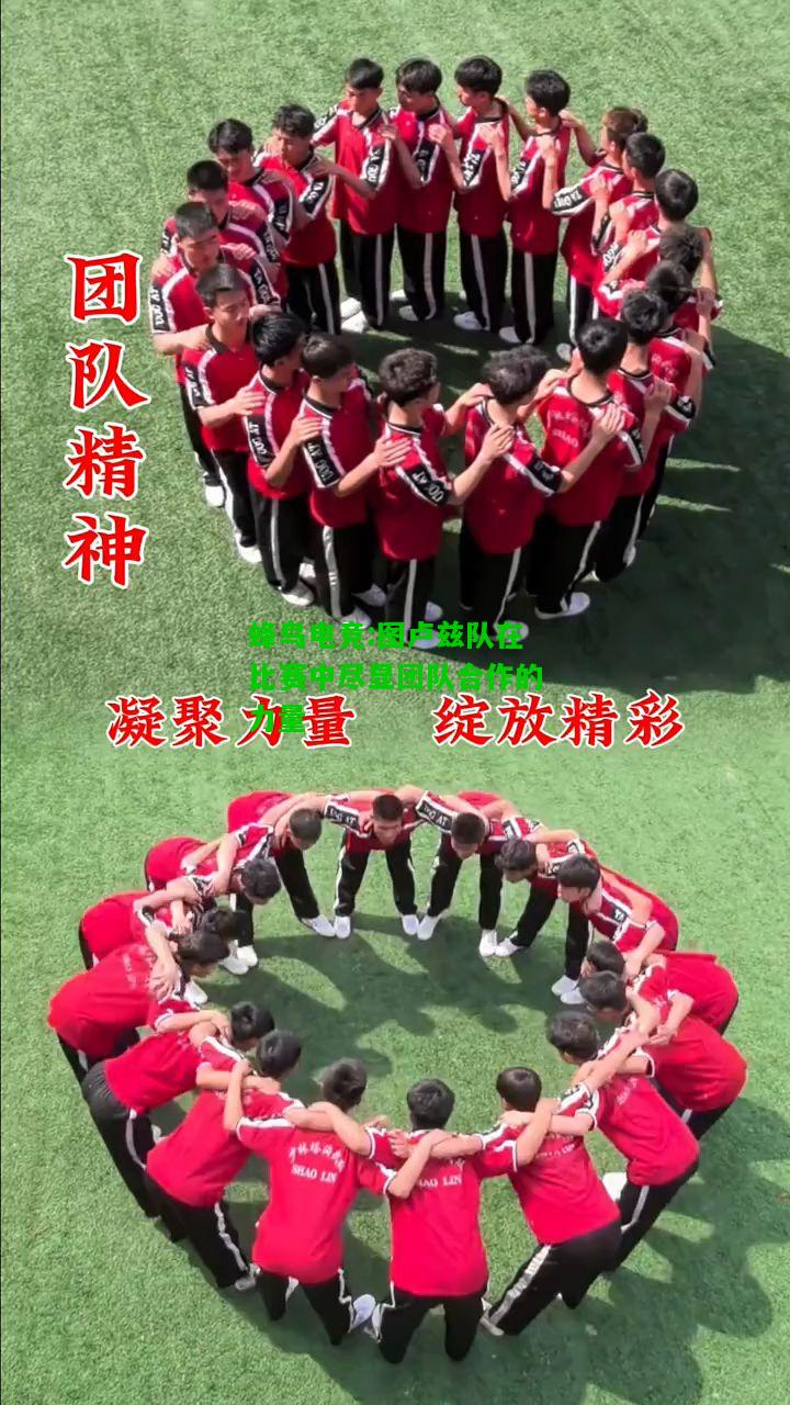蜂鸟电竞:图卢兹队在比赛中尽显团队合作的力量